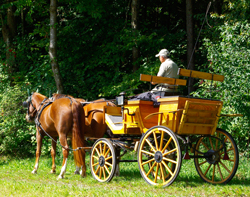 jagdwagen klein