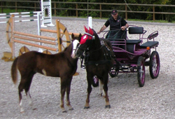 marathonwagen