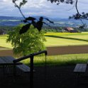 35_Aussicht