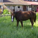 36_Freiberger
