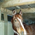 44_Freiberger
