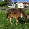 45_Nachwuchs